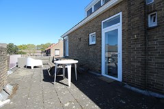 IMG_5155.JPG