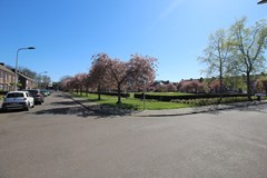 IMG_5168.JPG
