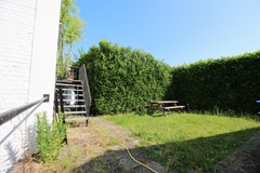 IMG_5543.JPG