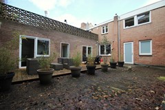 IMG_3105.JPG