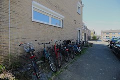 IMG_5169.JPG