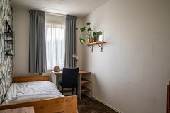 De Ruiten - 13 - Rutten-40.jpg