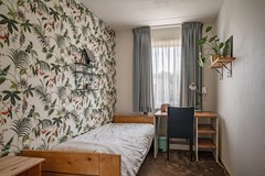 De Ruiten - 13 - Rutten-41.jpg