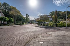 De Ruiten - 13 - Rutten.jpg