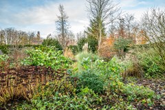 Terschelling - 6 - Emmeloord-24.jpg