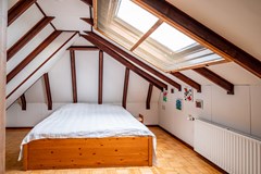 Hammerdijk - 33 - Blankenham-33.jpg