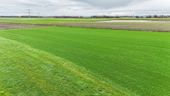 Hammerdijk - 33 - Blankenham-3.jpg