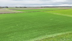 Hammerdijk - 33 - Blankenham-4.jpg