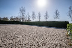 Zuidermiddenweg - 17 - Tollebeek-15.jpg