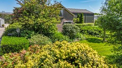 Baarlosedwarsweg - 2 - Marknesse-4.jpg