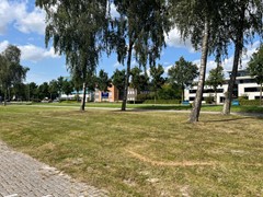 PHOTO-2025-09-04-14-18-49 (33).jpg