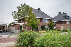 Ganzenroer - 3a - Tollebeek-1 - kopie.jpg