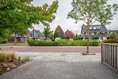 Ganzenroer - 3a - Tollebeek-53.jpg
