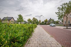 Ganzenroer - 3a - Tollebeek-52.jpg