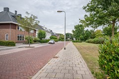 Ganzenroer - 3a - Tollebeek-54.jpg