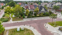 Ganzenroer - 3a - Tollebeek-3.jpg