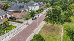 Ganzenroer - 3a - Tollebeek-2.jpg