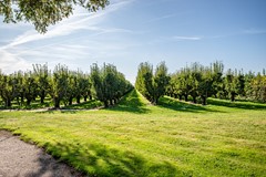Steenwijkerweg - 8-1 - Marknesse-9.jpg