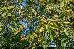 Steenwijkerweg - 8-1 - Marknesse-19.jpg