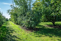 Steenwijkerweg - 8-1 - Marknesse-20.jpg