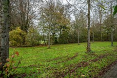 Schoolstraat - 12 - Luttelgeest-10.jpg