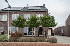 Gentiaan - 17 - Marknesse-5.jpg