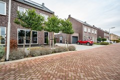 Gentiaan - 17 - Marknesse-4.jpg