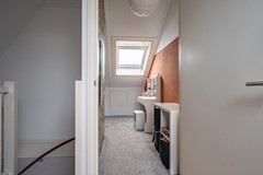 Aronskelk - 6 - Luttelgeest-40.jpg