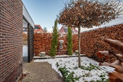 Aronskelk - 6 - Luttelgeest-44.jpg