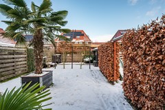 Aronskelk - 6 - Luttelgeest-45.jpg