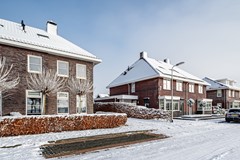 Aronskelk - 6 - Luttelgeest.jpg