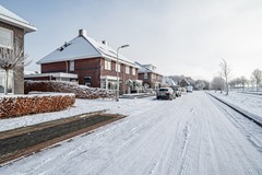 Aronskelk - 6 - Luttelgeest-2.jpg