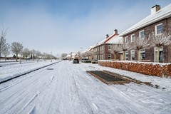 Aronskelk - 6 - Luttelgeest-5.jpg