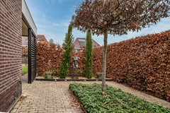 Aronskelk - 6 - Luttelgeest-60 (1).jpg