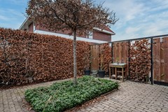 Aronskelk - 6 - Luttelgeest-61 (1).jpg