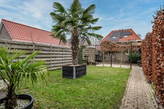 Aronskelk - 6 - Luttelgeest-63 (1).jpg