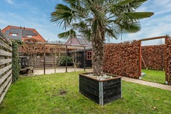 Aronskelk - 6 - Luttelgeest-64 (1).jpg