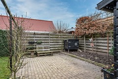 Aronskelk - 6 - Luttelgeest-67 (1).jpg