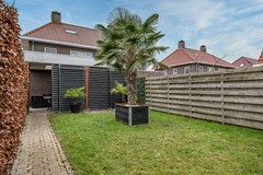 Aronskelk - 6 - Luttelgeest-68 (1).jpg