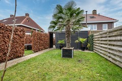 Aronskelk - 6 - Luttelgeest-69 (1).jpg