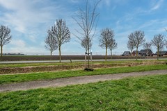 Aronskelk - 6 - Luttelgeest-54 (1).jpg