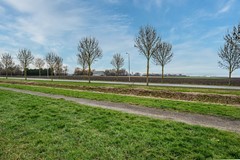 Aronskelk - 6 - Luttelgeest-55 (1).jpg