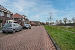 Aronskelk - 6 - Luttelgeest-56 (1).jpg