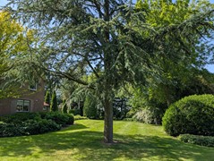 PHOTO-2026-02-09-16-16-08 (2).jpg