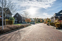 Pasteurhage - 15 - Emmeloord.jpg