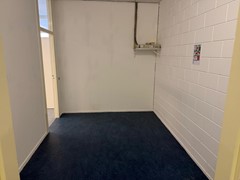 PHOTO-2026-04-10-11-38-26 (1).jpg