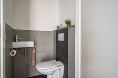 Visarend - 4 - Tollebeek-22.jpg