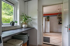 Visarend - 4 - Tollebeek-33.jpg