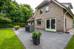 Visarend - 4 - Tollebeek-18.jpg