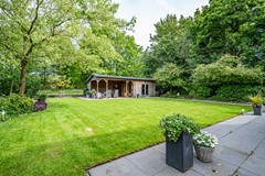 Visarend - 4 - Tollebeek-15.jpg